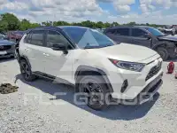 2019 Toyota RAV4 фото