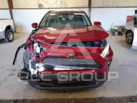 2019 Toyota RAV4 фото