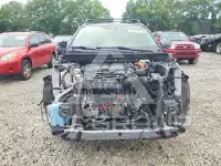 2019 Toyota RAV4 photo