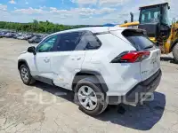 2019 Toyota RAV4 photo