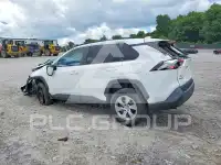 2019 Toyota RAV4 photo