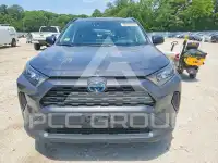 2019 Toyota RAV4 фото