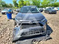 2019 Toyota RAV4 фото