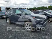 2019 Toyota RAV4 фото
