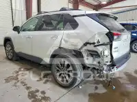 2019 Toyota RAV4 photo