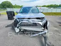 2019 Toyota RAV4 фото