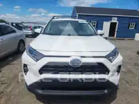 2019 Toyota RAV4 фото