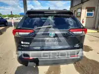 2019 Toyota RAV4 фото