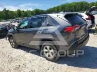 2019 Toyota RAV4 photo