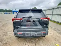 2019 Toyota RAV4 photo