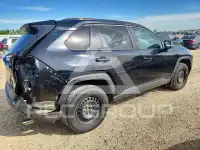 2019 Toyota RAV4 фото