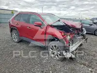 2019 Toyota RAV4 фото