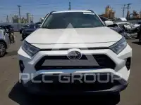 2019 Toyota RAV4 фото