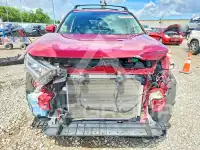 2019 Toyota RAV4 фото