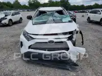2019 Toyota RAV4 photo
