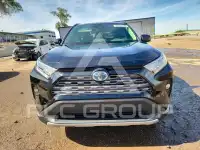 2019 Toyota RAV4 фото