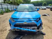 2019 Toyota RAV4 фото