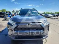 2019 Toyota RAV4 photo