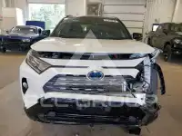 2019 Toyota RAV4 фото