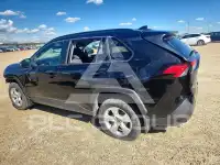 2019 Toyota RAV4 фото