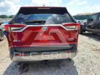 2019 Toyota RAV4 фото