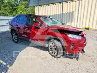 2019 Toyota RAV4 фото