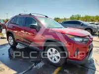2019 Toyota RAV4 photo