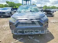 2019 Toyota RAV4 photo