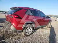 2019 Toyota RAV4 фото