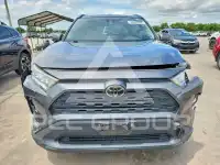2019 Toyota RAV4 фото