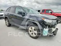 2019 Toyota RAV4 photo
