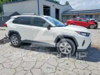 2019 Toyota RAV4 фото