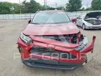 2019 Toyota RAV4 фото