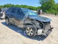 2019 Toyota RAV4 photo