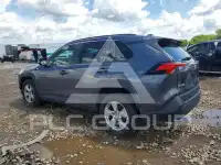 2019 Toyota RAV4 photo
