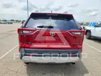 2019 Toyota RAV4 фото