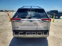 2019 Toyota RAV4 фото