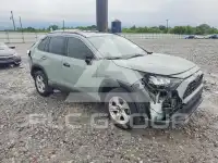 2019 Toyota RAV4 фото