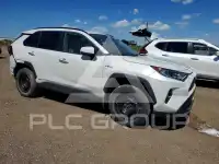 2019 Toyota RAV4 фото