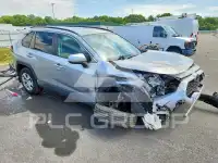 2019 Toyota RAV4 фото