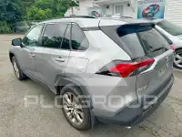 2019 Toyota RAV4 photo