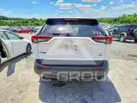 2019 Toyota RAV4 photo
