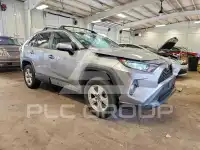 2019 Toyota RAV4 photo