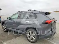 2019 Toyota RAV4 photo