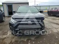 2019 Toyota RAV4 photo