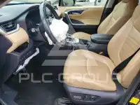 2019 Toyota RAV4 photo