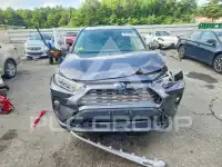 2019 Toyota RAV4 фото