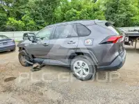 2019 Toyota RAV4 фото