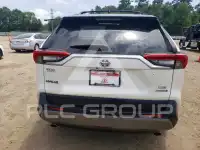 2019 Toyota RAV4 photo