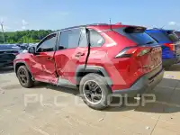 2019 Toyota RAV4 photo